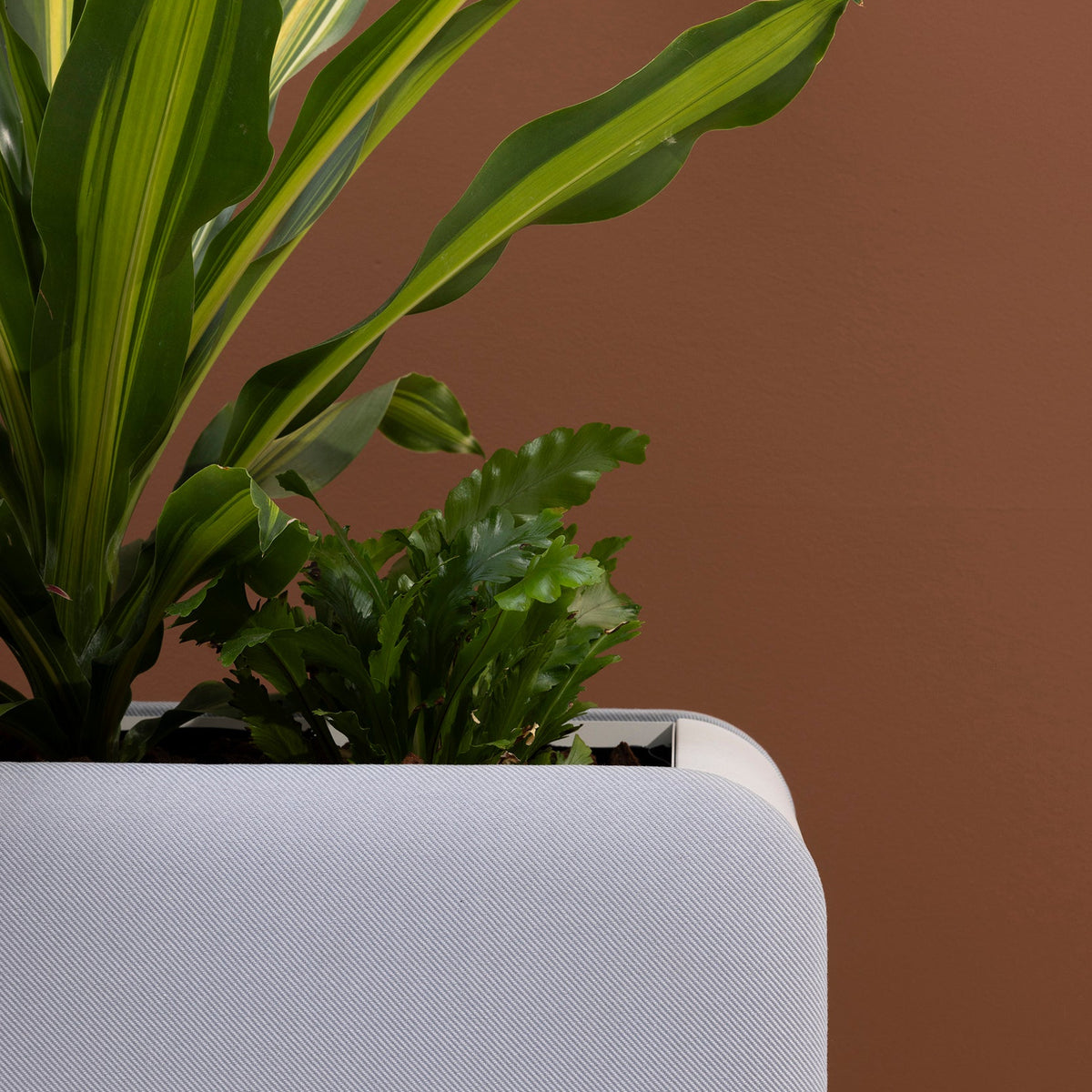 Plantenbak Cascando Pillow Space