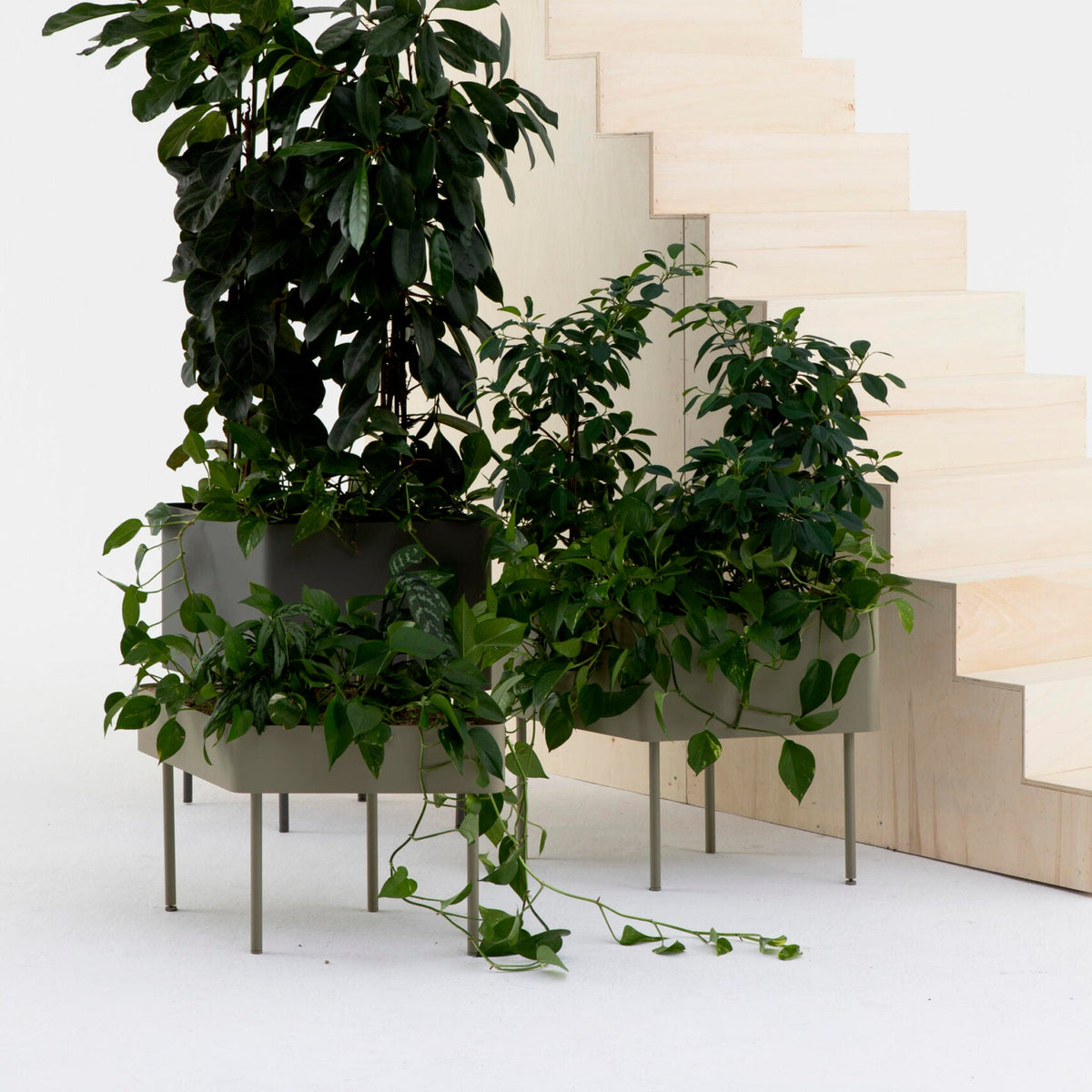 Plantenbak Cascando Rombo