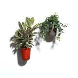 Plantenbak Gaber Vase and Mounting Bracket