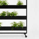 Plantenbak Cascando Patio Single op wielen