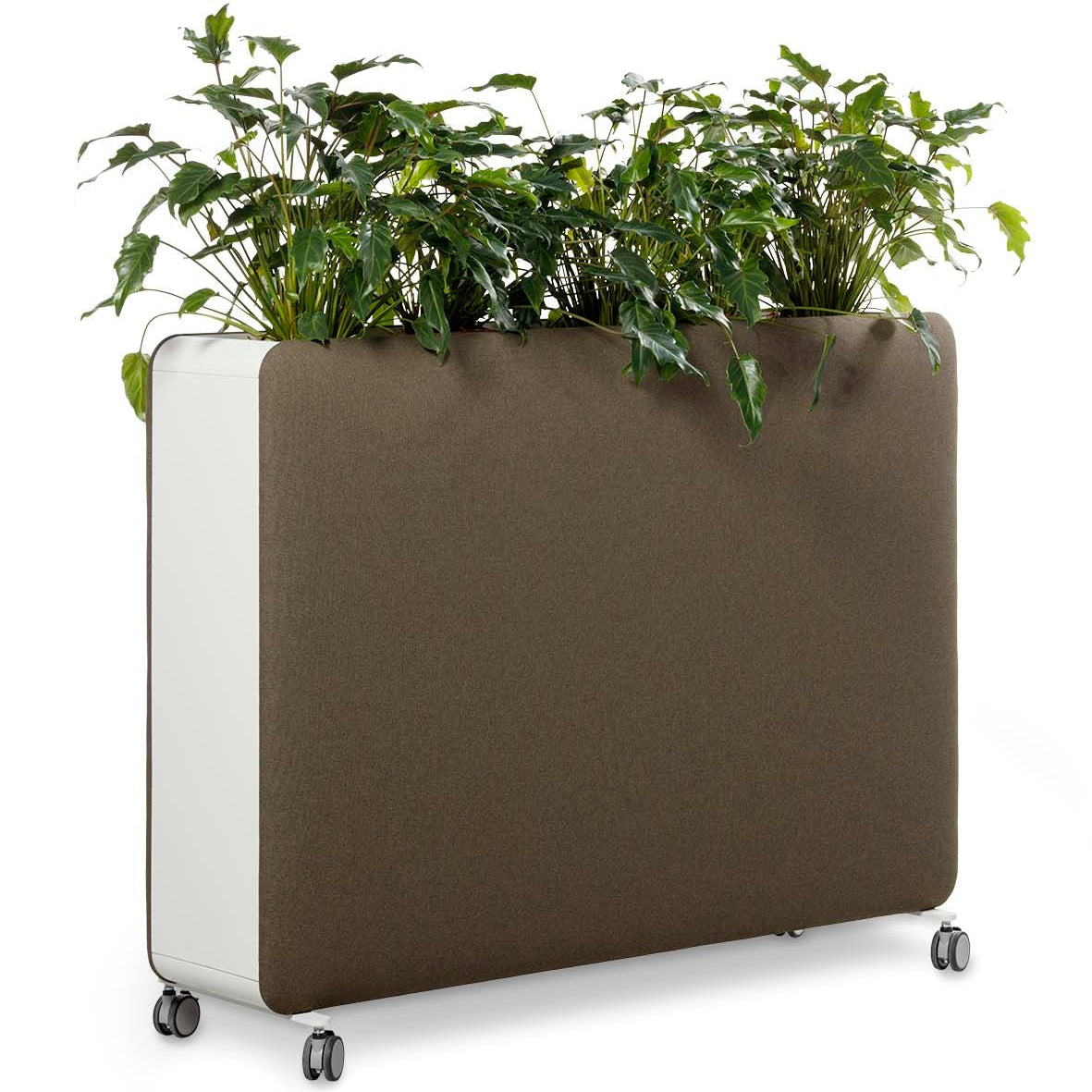 Plantenbak Cascando Pillow Space