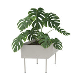 Plantenbak Cascando Rombo