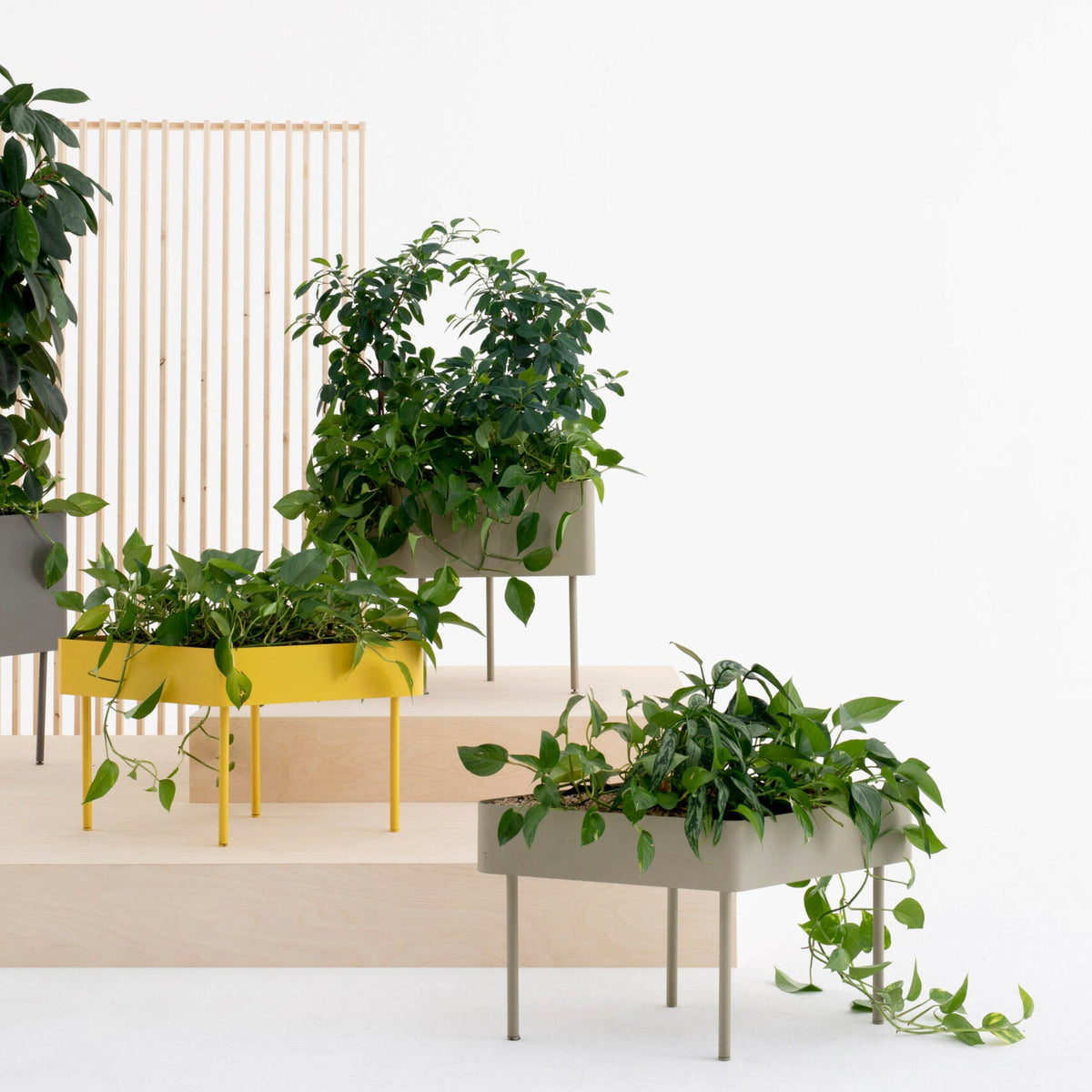 Plantenbak Cascando Rombo