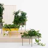 Plantenbak Cascando Rombo